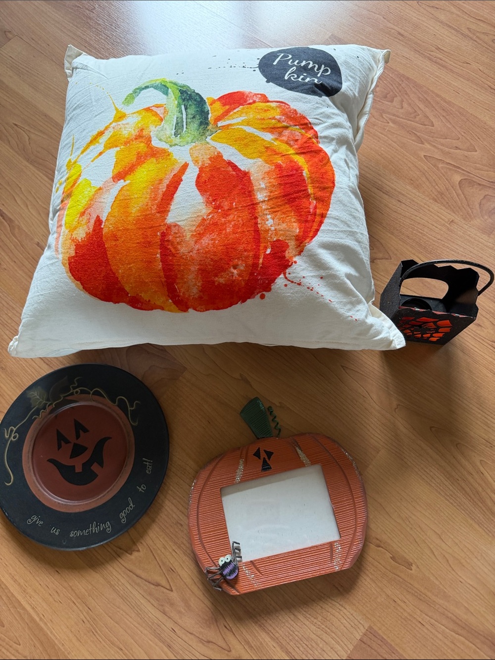 Pumpkin Watercolor Decorative Pillow - White/Orange - Unbranded